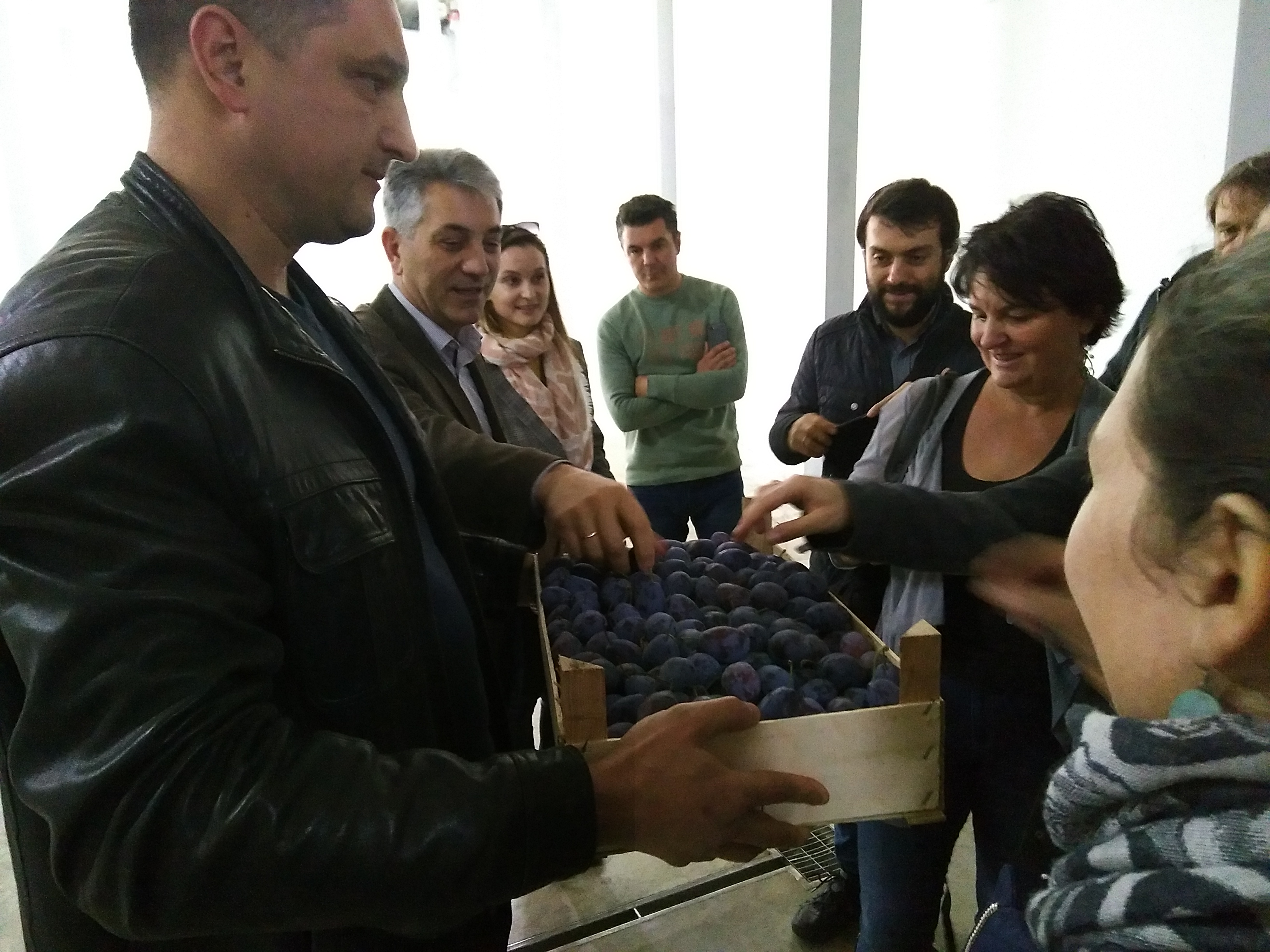 Découverte de la filière prune en Moldavie