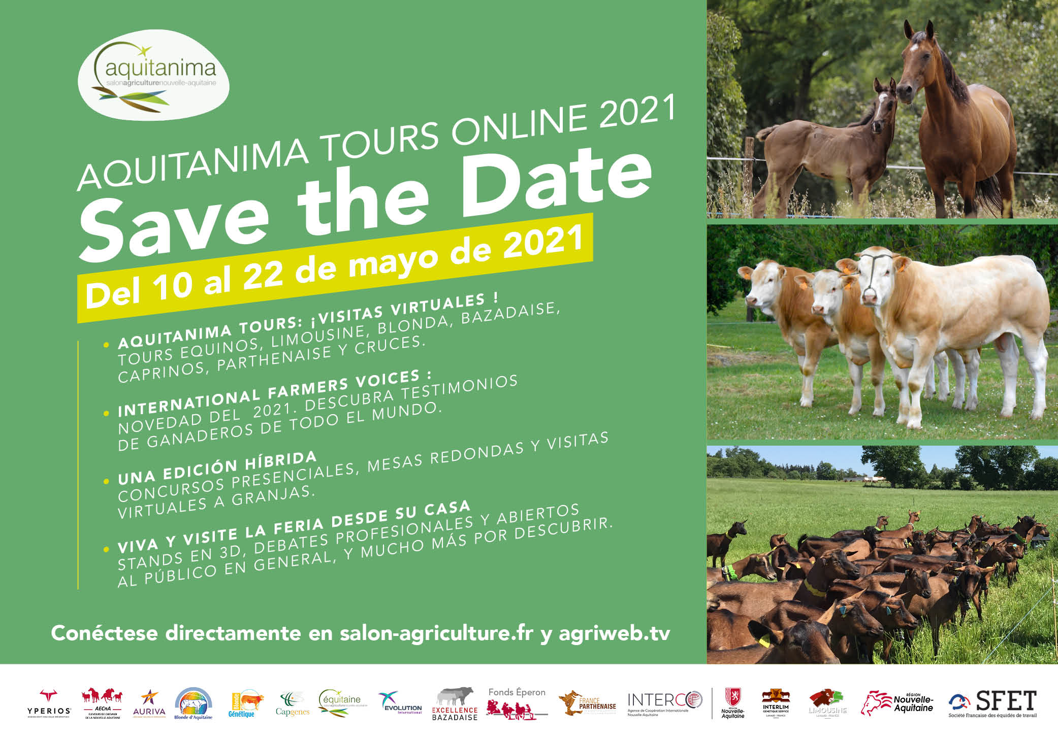 Serie Aquitanima Tours Online 2021