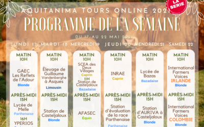 Programme 2ème semaine: Aquitanima Tours Online 2021