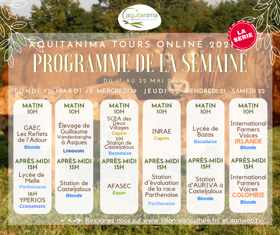 Programme 2ème semaine: Aquitanima Tours Online 2021